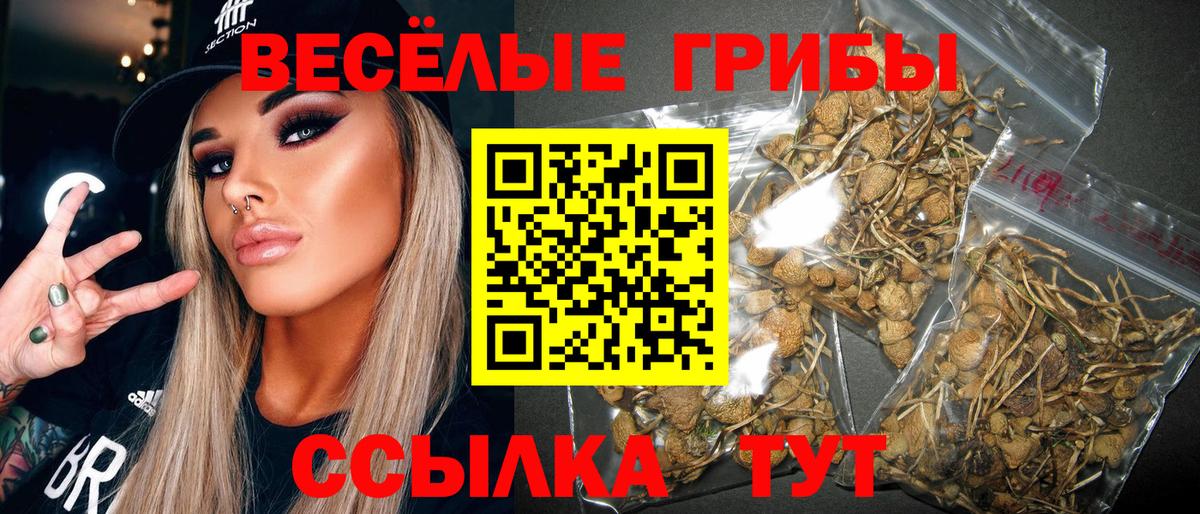 Галлюциногенные грибы Magic Shrooms Искитим
