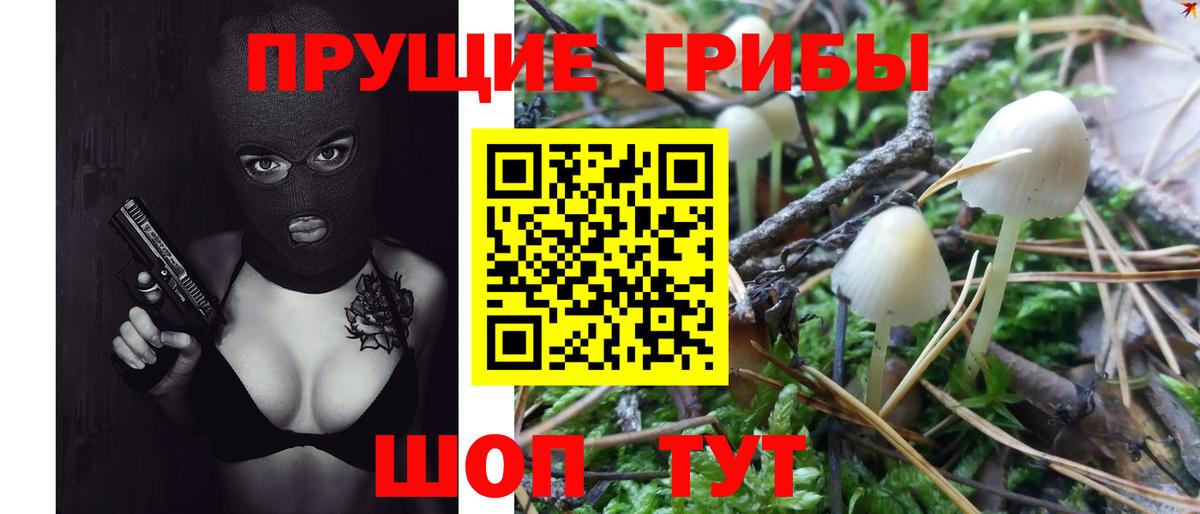 магазин продажи наркотиков  Галлюциногенные грибы Magic Shrooms  Вход с VPN  Псилоцибиновые грибы Psilocybe  Искитим 